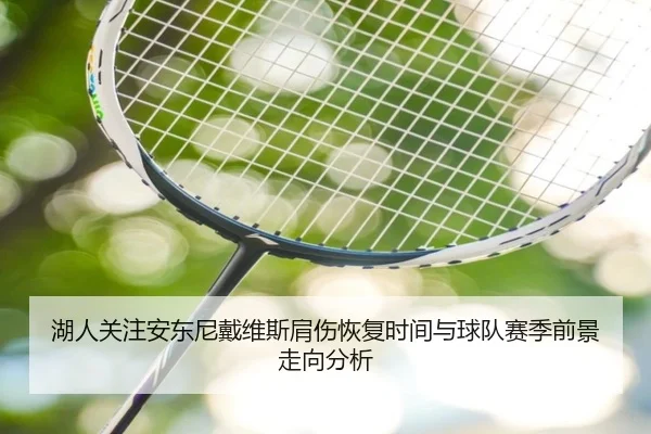 湖人关注安东尼戴维斯肩伤恢复时间与球队赛季前景走向分析