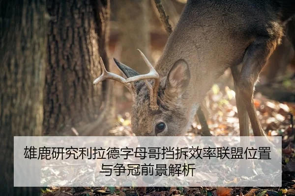 雄鹿研究利拉德字母哥挡拆效率联盟位置与争冠前景解析