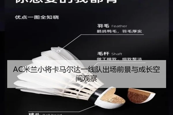 AC米兰小将卡马尔达一线队出场前景与成长空间观察